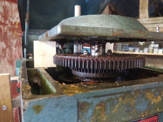 IMG_20240821_100337.jpg IMG_20240821_100337.jpg