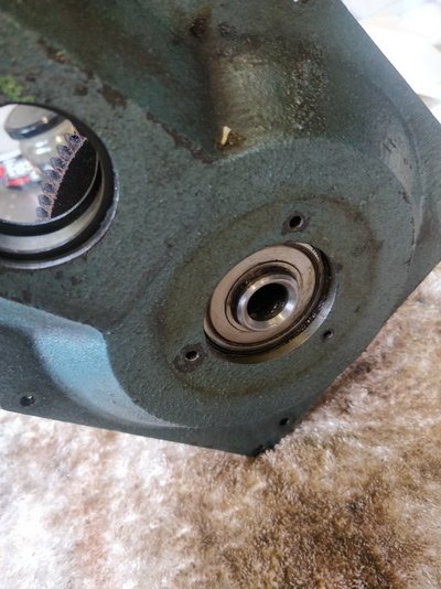 IMG_20240821_185815.jpg IMG_20240821_185815.jpg