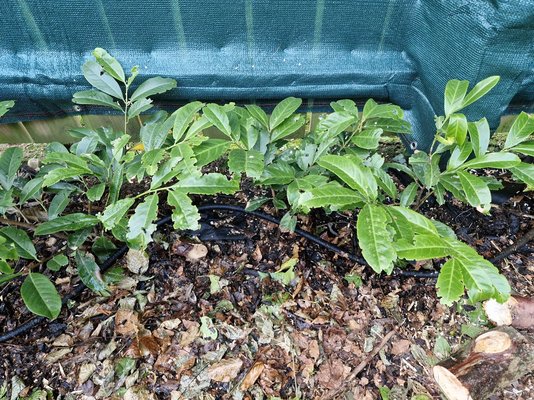 20240902_195337.jpg 20240902_195337.jpg