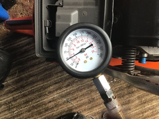 IMG_0855.jpeg IMG_0855.jpeg