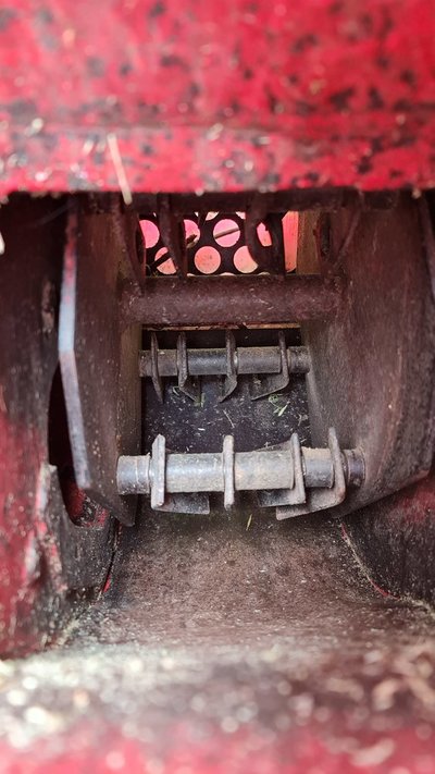 20240907_125555.jpg 20240907_125555.jpg