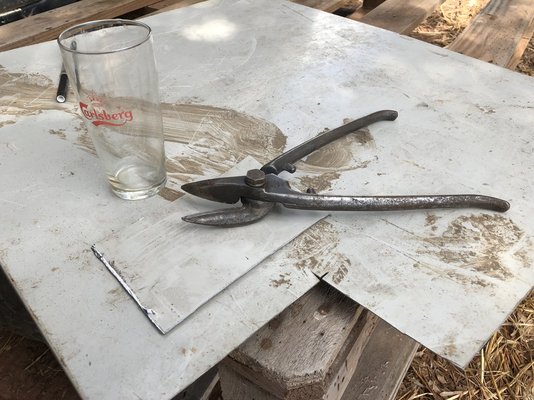 IMG_0585.jpeg IMG_0585.jpeg