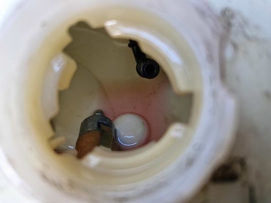 20240924_183359.jpg 20240924_183359.jpg