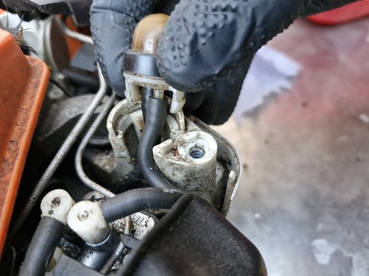 20240924_185528.jpg 20240924_185528.jpg