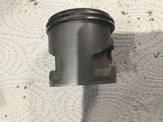 IMG_0863.jpeg IMG_0863.jpeg