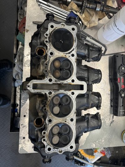 IMG_6658.jpeg IMG_6658.jpeg