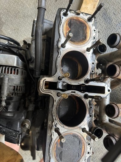 IMG_6660.jpeg IMG_6660.jpeg