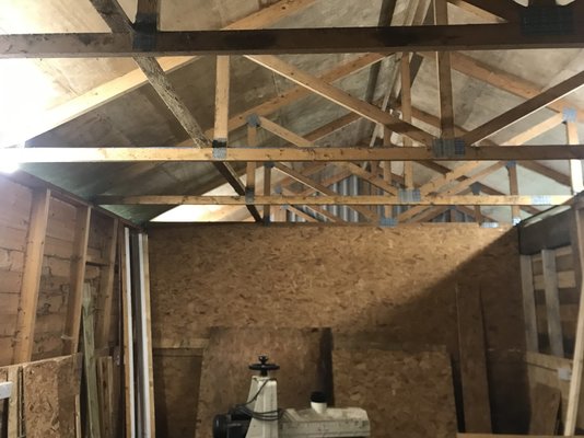 IMG_0509.jpeg IMG_0509.jpeg