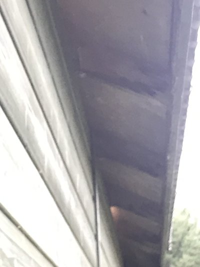 IMG_0508.jpeg IMG_0508.jpeg