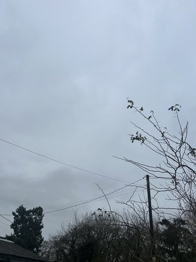 IMG_7901.jpeg