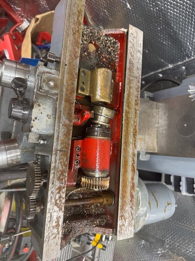 IMG_7419.jpeg IMG_7419.jpeg