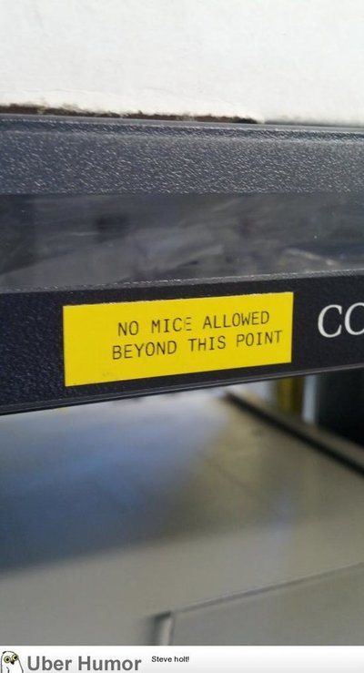 no mice.jpg
