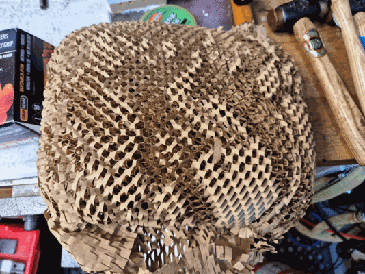 dg02.gif dg02.gif