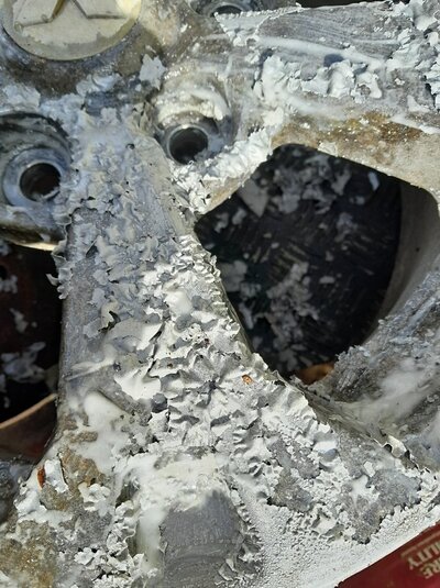 20250313_120126.jpg