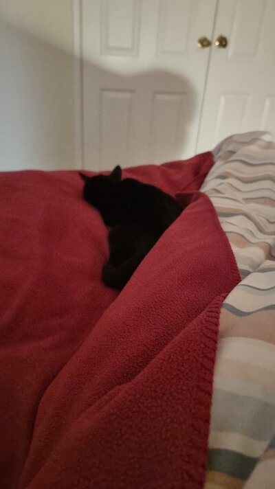 IMG-20250322-WA0000.jpeg