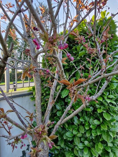 20250410_180838.jpg 20250410_180838.jpg