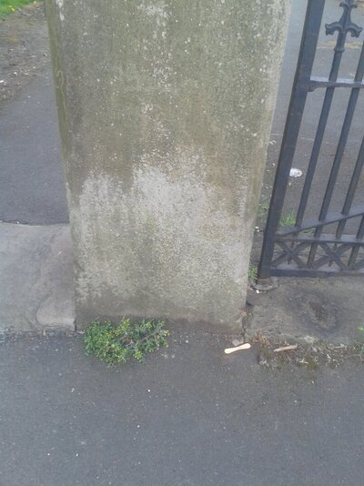 20250415_141604.jpg 20250415_141604.jpg