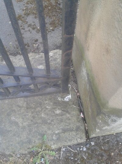 20250415_141618.jpg 20250415_141618.jpg