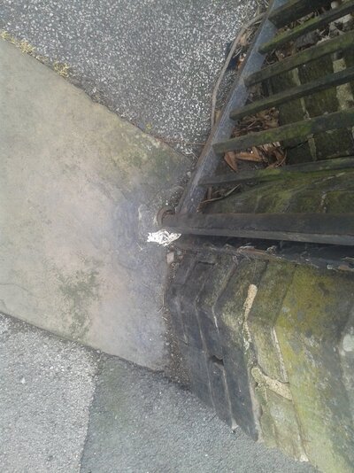 20250415_144202.jpg 20250415_144202.jpg