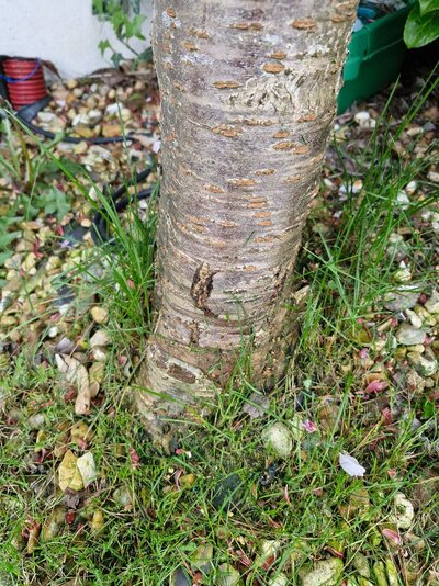 20250428_201338.jpg 20250428_201338.jpg