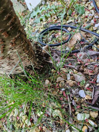 20250428_201343.jpg 20250428_201343.jpg