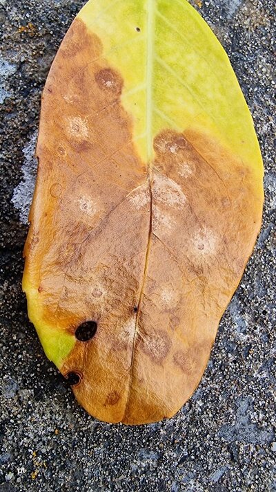 20250429_183631.jpg 20250429_183631.jpg