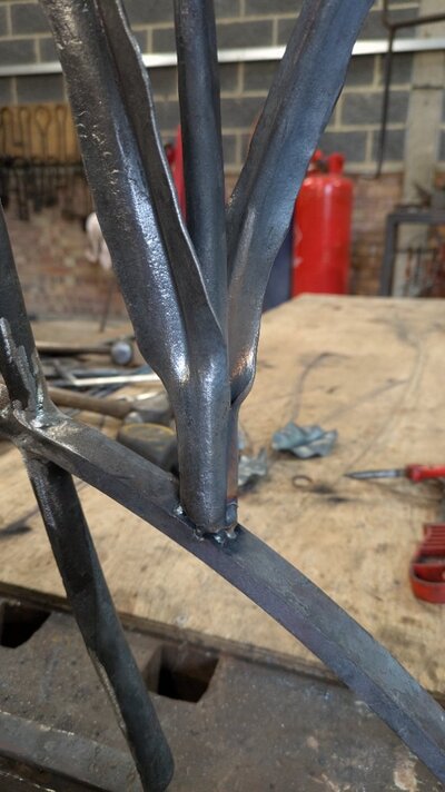 PXL_20250506_081130812.MP.jpg PXL_20250506_081130812.MP.jpg