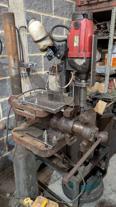 PXL_20250504_105837121.MP.jpg PXL_20250504_105837121.MP.jpg