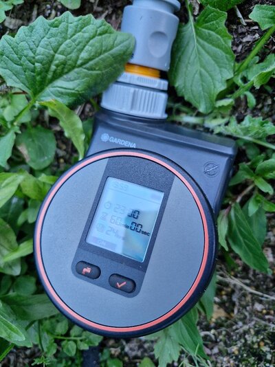 20250515_200032.jpg