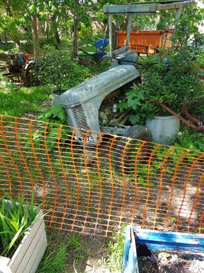 20250509_123613.jpg