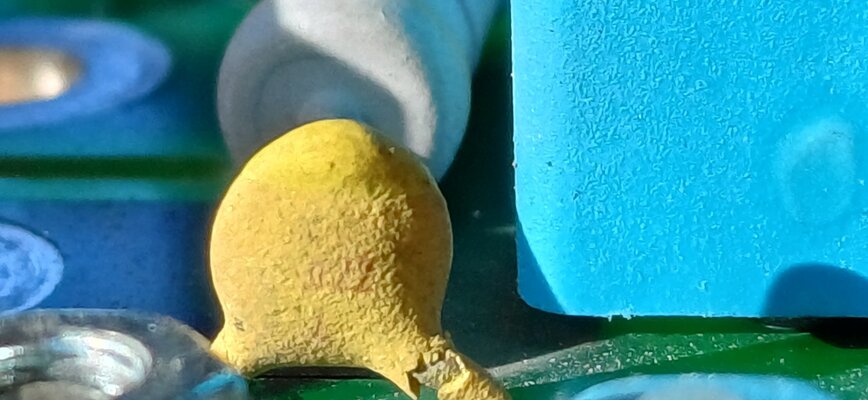 20250521_183536.jpg