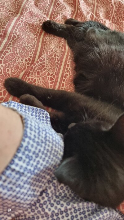 20250613_165317.jpg