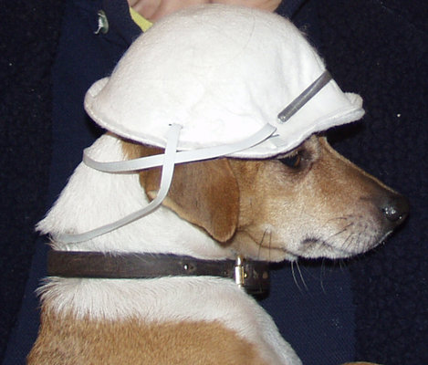 gus_the_builder1.jpg