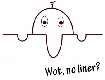 liner.jpg