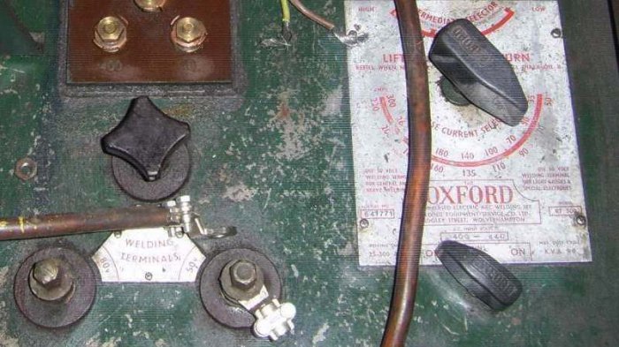 ox300 close crop.b.jpg