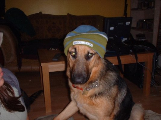 november 006.jpg