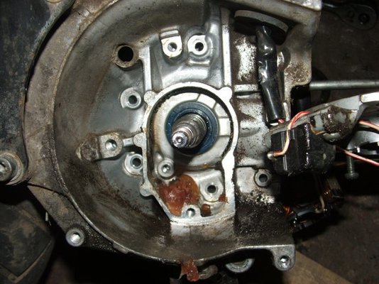 DSCF5721.jpg
