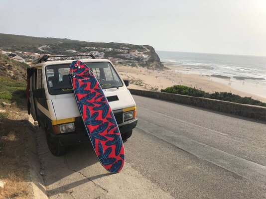 Van_surfboard.jpg