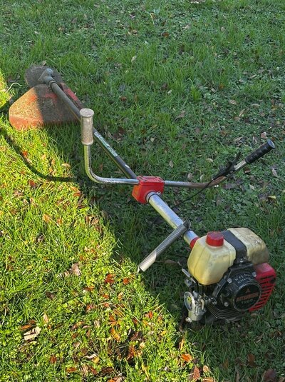 IMG_8024.jpeg