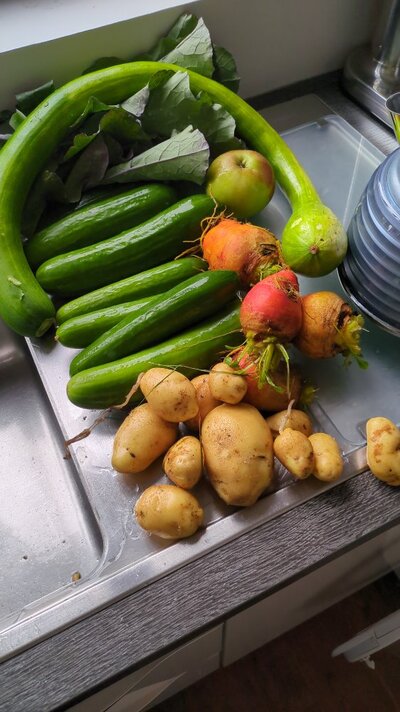 IMG-20250804-WA0002.jpeg