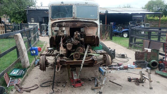 stripping day1.jpg