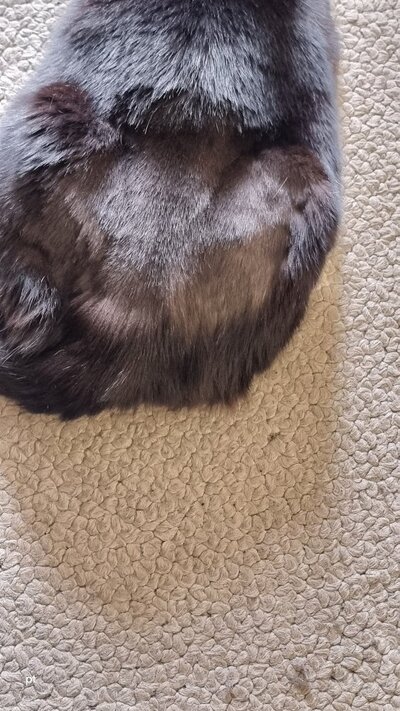 20250905_162443.jpg