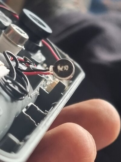 20250919_124514.jpg