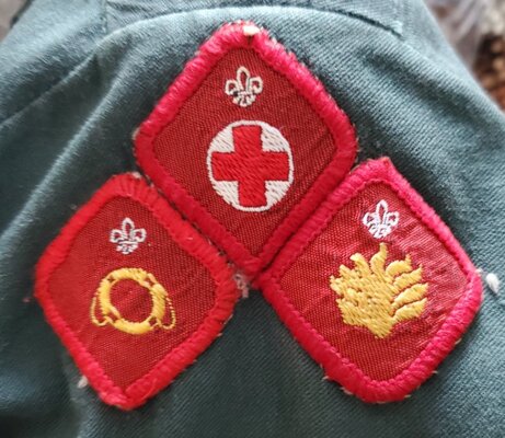 ScoutBadges.jpg
