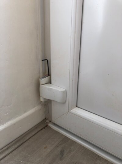 IMG_2589.jpeg