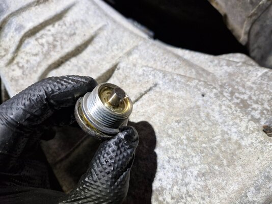 20251005_171051.jpg 20251005_171051.jpg