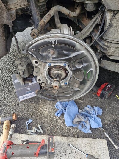 20251027_115053.jpg 20251027_115053.jpg