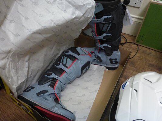 P1010157.JPG P1010157.JPG