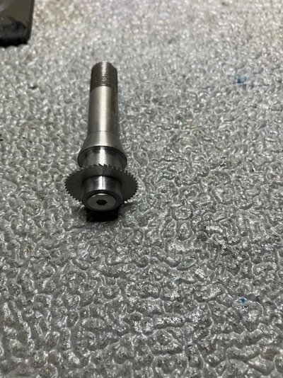 IMG_0381-compressed.jpeg IMG_0381-compressed.jpeg