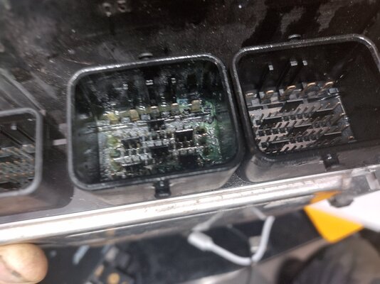 207_ecu_rotted.jpg 207_ecu_rotted.jpg